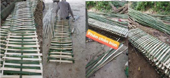 Cây tre 44 cây tre, cọc tre, tre gai, cây tre gai